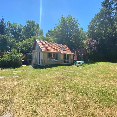 Ad Libitum * Les Ageux