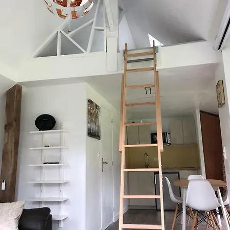 Ad Libitum * Les Ageux