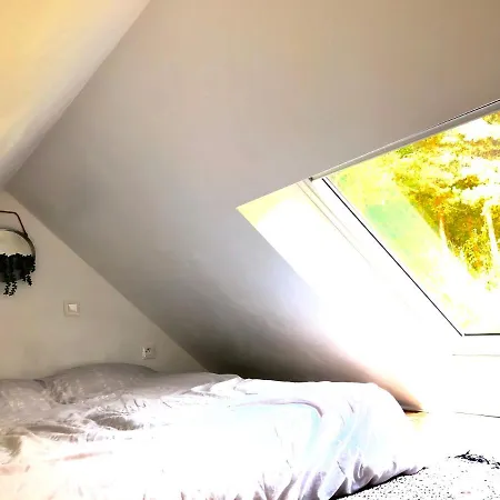 Ad Libitum Les Ageux